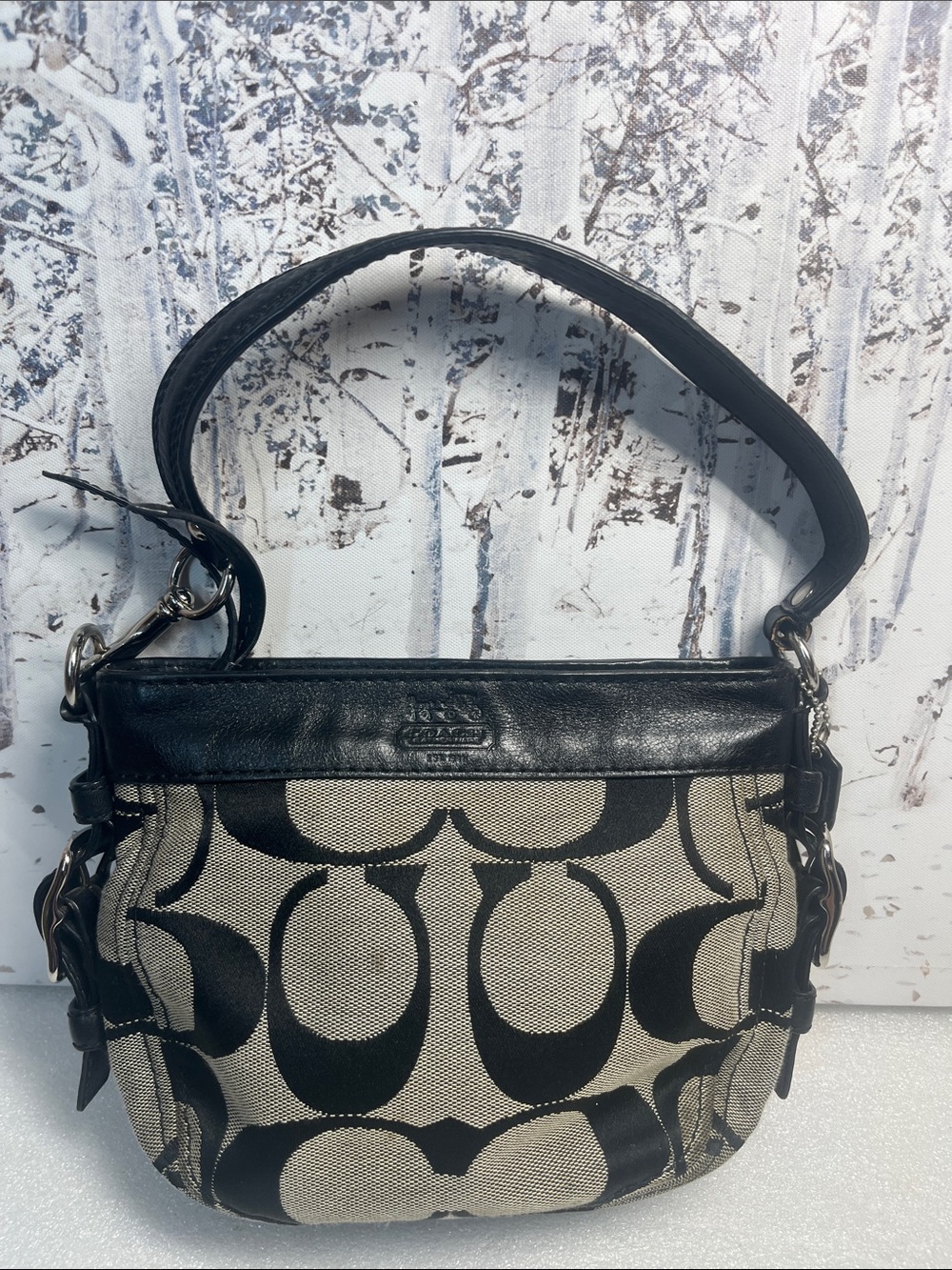 Coach 41856 Mini Zoe Black Signature C Canvas Bag Leather Trim